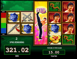 https://www.greenbet.biz/wp-content/uploads/2013/08/Bruce_Lee_slot_WMS-250x191.png