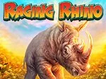 Raging Rhino Raging Rhino